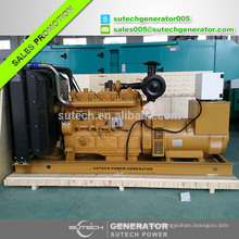 250kw Qianneng diesel generator for standby use with china cheapest price